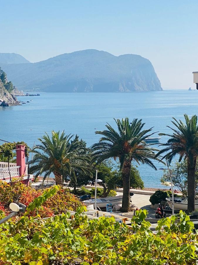 Miomir Perazic Apartments Petrovac Zewnętrze zdjęcie